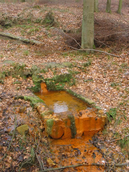 Fragment kamiennej obudowy źródła z XIX wieku. Foto Lidia Kmiecińska