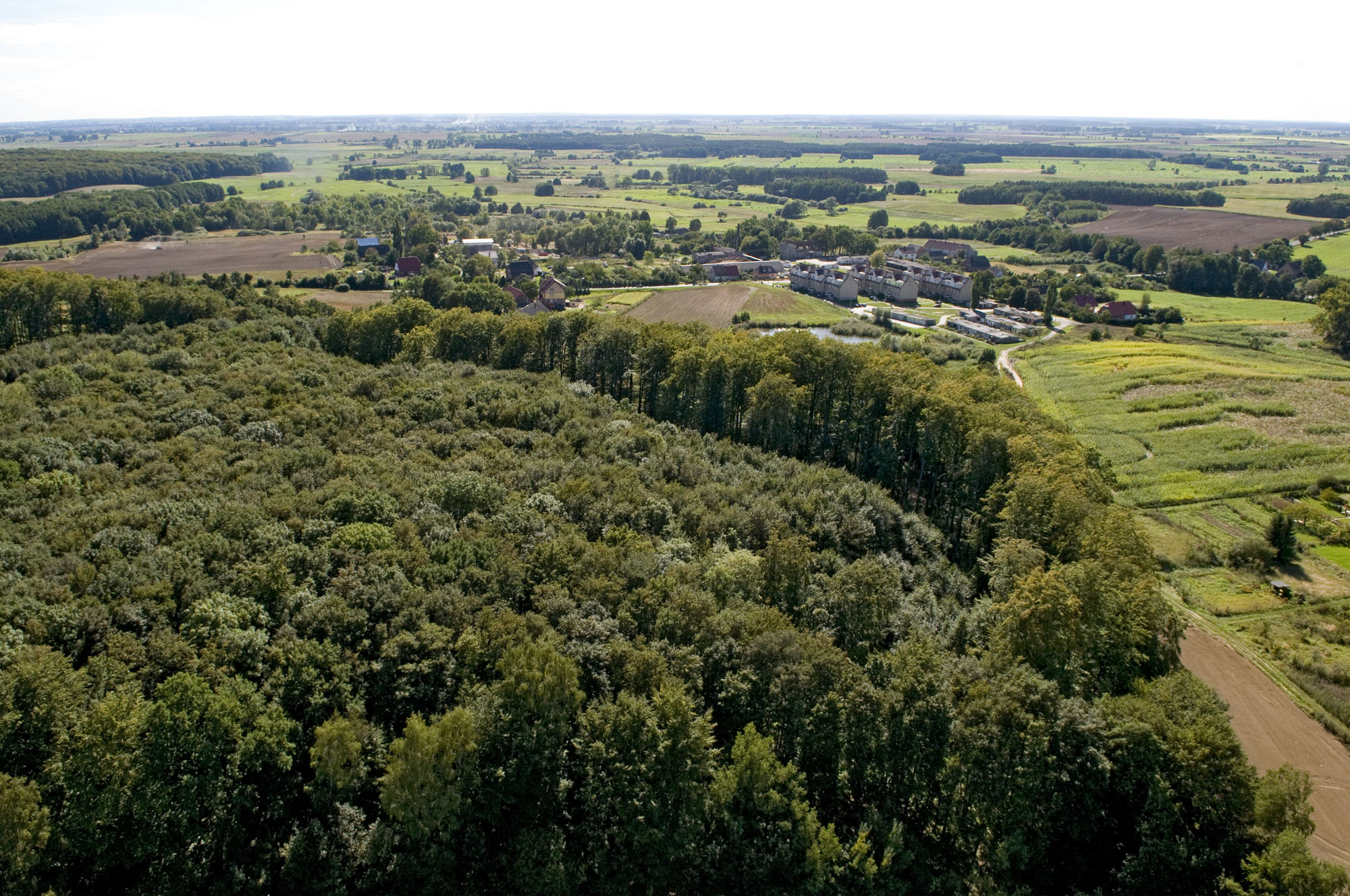 Nieużytkowane gospodarczo okrajki stanowią wyraźną granicę lasu. Fot. Z. Pajewski