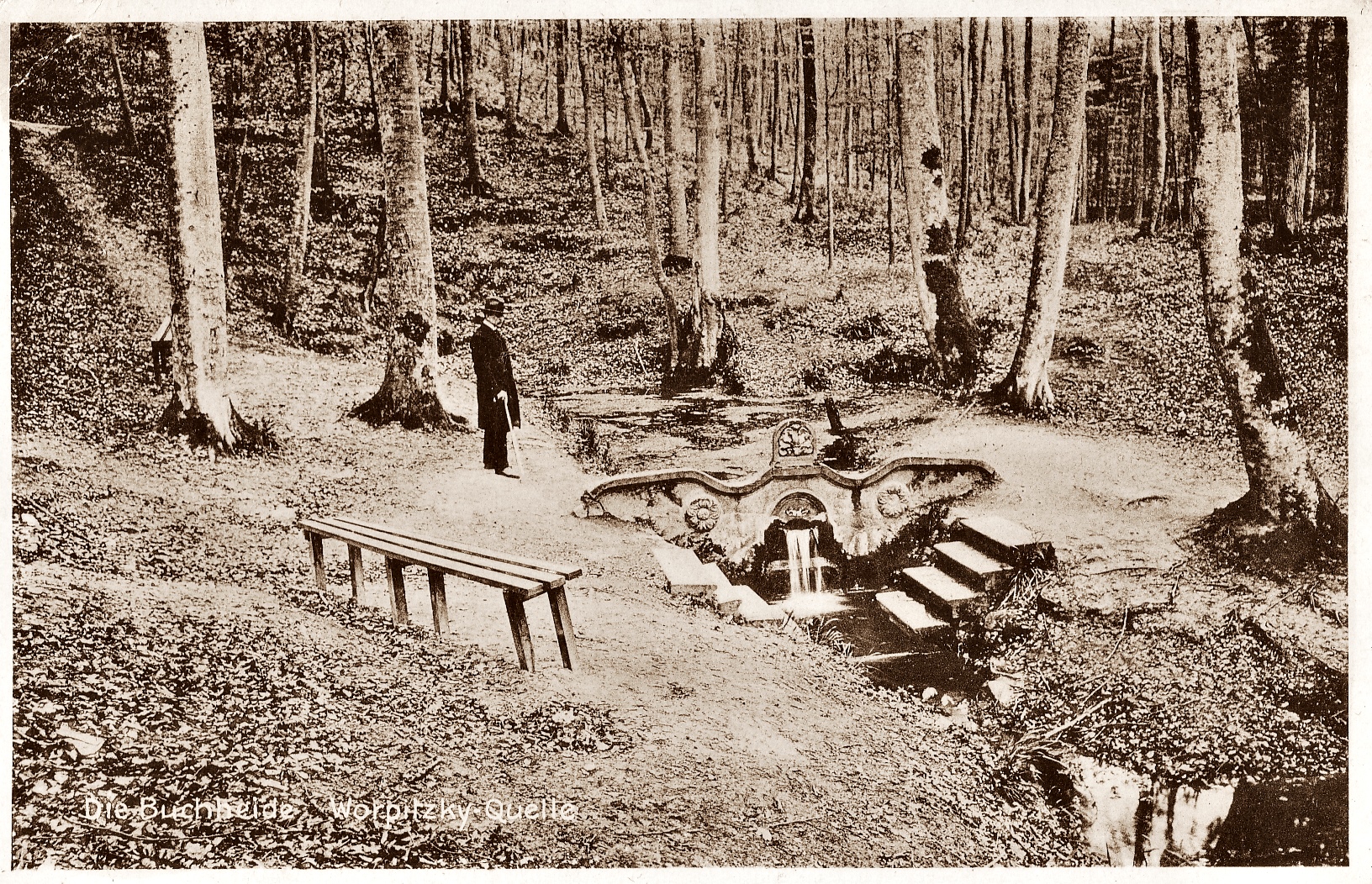 Ciurkadełko. Ze zbiorów Mirosława Wacewicza