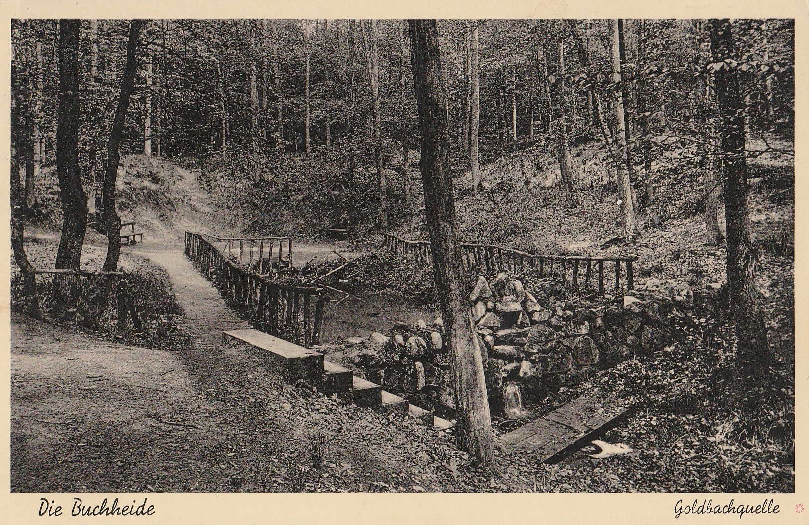 Ponikwa. Ze zbiorów Mirosława Wacewicza