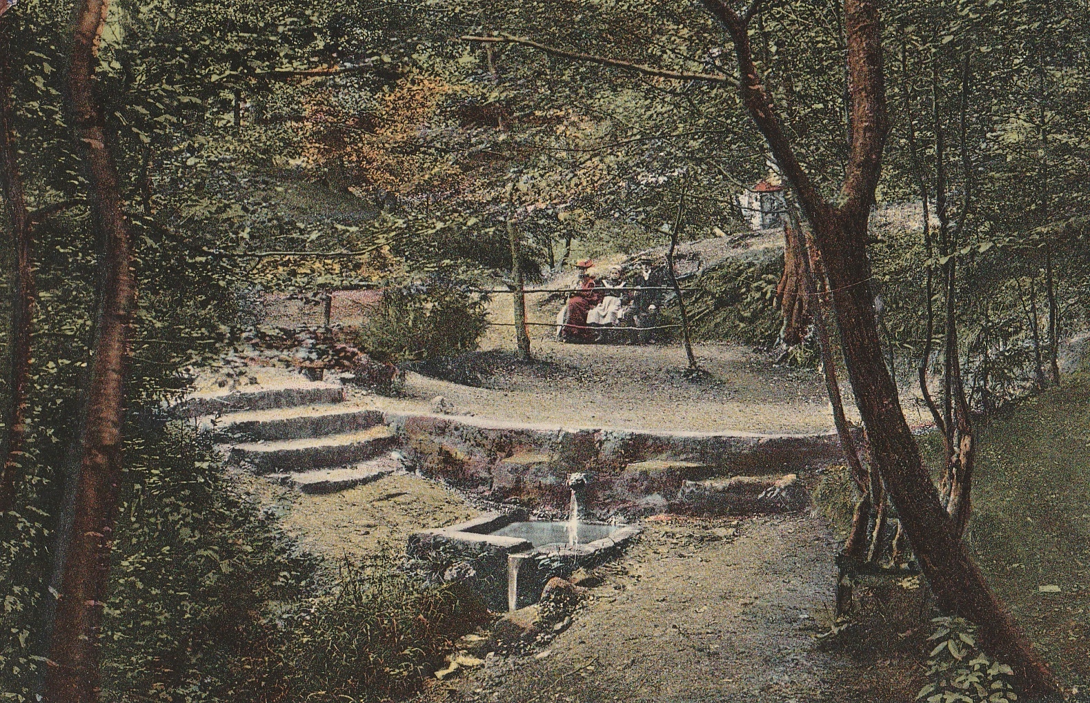 Lwia Paszcza. Ze zbiorów Mirosława Wacewicza