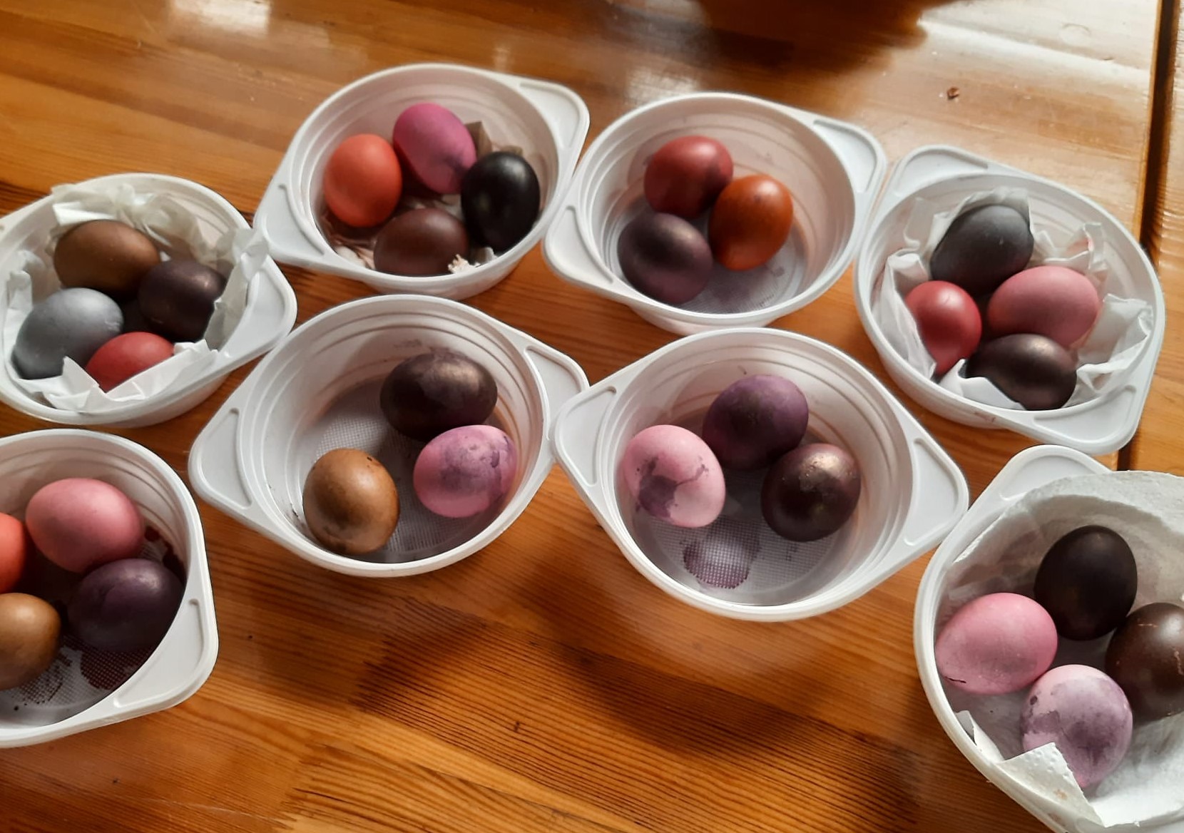 Zdjęcie przedstawia efekt barwenia jaj w naturalnych barwnikach. Fot. L Kryczka