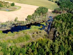 Foto Lidia Kmiecińska